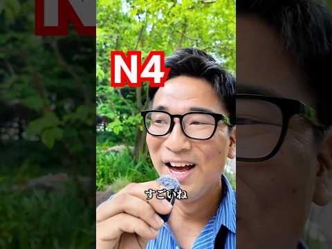【N4】Japanese immersion practice