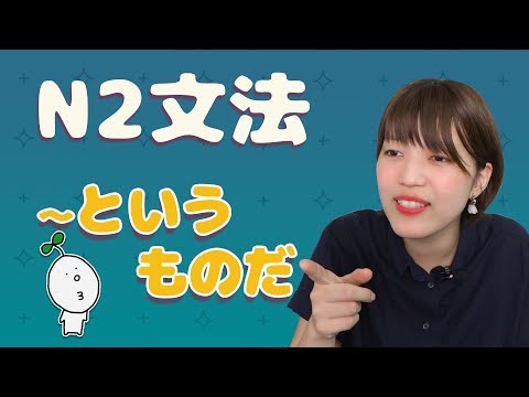 【N2文法】#10 〜というものだ