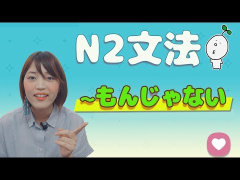 【N2文法】#14 〜ものではない