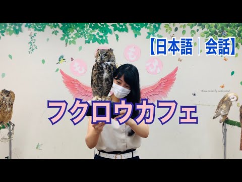 【日本語｜会話】フクロウカフェ