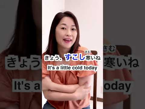 The English skosh＝The Japanese すこし（sukoshi), a little, a few l How to Use すこし #shorts