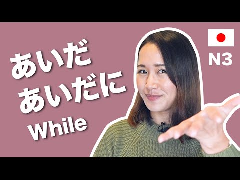 あいだ vs あいだに【While in Japanese】N3 grammar