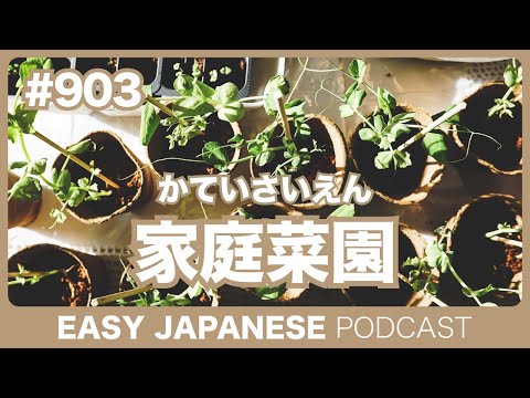 #903 家庭菜園 / EASY JAPANESE PODCAST
