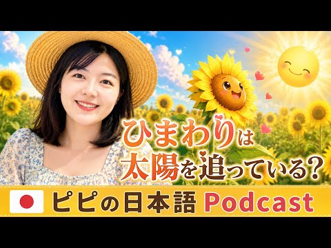 【Japanese podcast】26.ひまわり | Easy Japanese | JLPT | Japanese Listening Practice | 일본어 팟캐스트