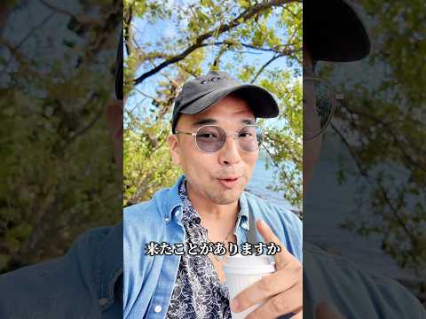 【N4】Easy Japanese immersion practice