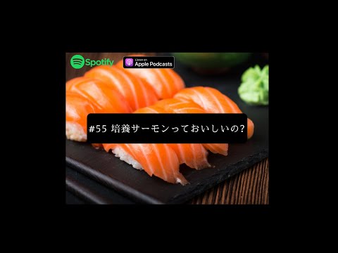 [JPN CC ] Japanese Podcast  #55 培養サーモンっておいしいの？