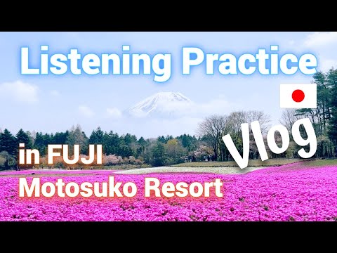 [Eng Sub] Let’s go see Mt. Fuji and Shibazakura! | Japanese Listening Practice