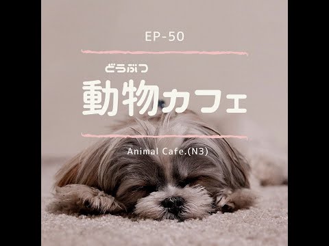 EP-50 動物カフェ Animal Cafes(N3)