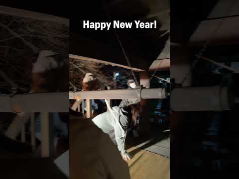 Happy New Year!