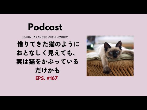 Japanese Podcast #167 借りてきた猫のようにおとなしく見えても、実は猫をかぶっているだけかも