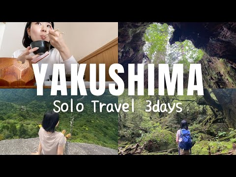 【Vlog in Japanese】屋久島一人旅！縄文杉&白谷雲水峡 #yakushima