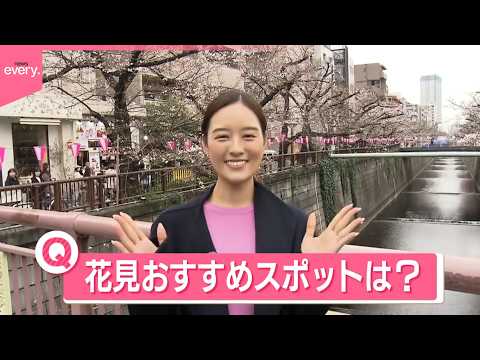 【きょうの1日】全国26地点で桜開花  おすすめの花見スポットは？  地元民だけが知る楽しみ方も