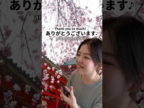 Useful #japanese phrases when you take a picture📷✨ #nihongo #日本語 #learnjapanese #shorts #jlpt