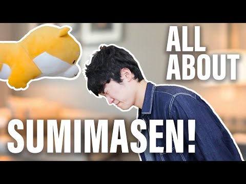 なんで日本人はたくさん謝るの！？ Why do Japanese people APOLOGIZE so much? | Easy Japanese