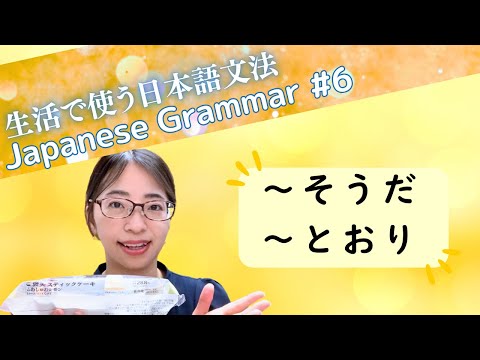 【生活で使う日本語文法 ＃6】「～そうだ」「～とおり」