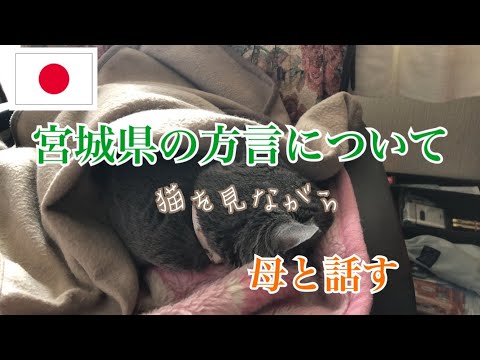 【日本語会話】宮城県の方言について母と私が会話するとき