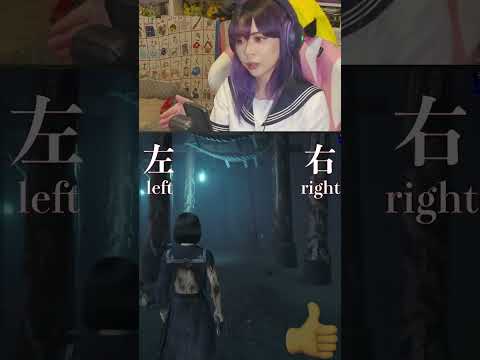 Torii Gate Facts ⛩️ How to Visit a Shrine in Japan pt.1 w #silenthillf #japan #japantravel
