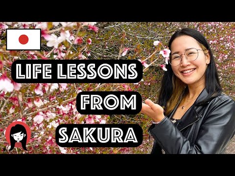 Life lessons I learned from Sakura.