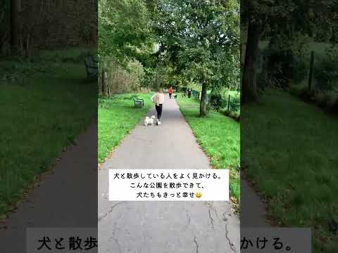 🇯🇵🎙️Ep 8 Japanese audio「散歩（さんぽ）」