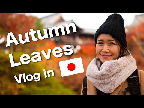 Vlog in Japanese #5  Autumn leaves in Kyoto (Basic level listening with subs)
