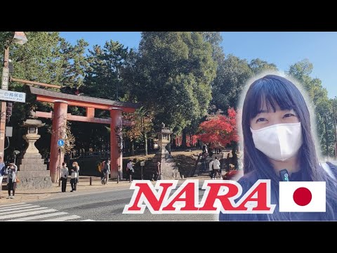 【日本旅行】奈良Vlog ／Nara in Japan
