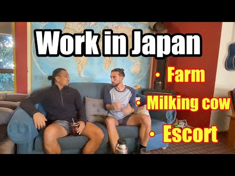【interview】Work in Japan – ALL IN JAPANESE