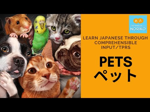Learn Japanese through comprehensible input/TPRS. #5 PETS ペット