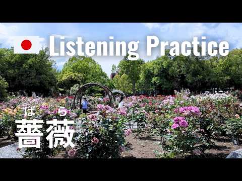 Practicing Katakana pronunciation in a Rose Garden | Japanese Listening Practice