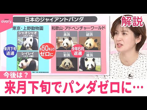 【#みんなのギモン】来月下旬でパンダゼロに  今後は？