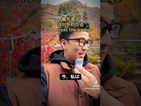 【N5】Japanese listening practice #japanese #n5 #n4 #japaneselesson