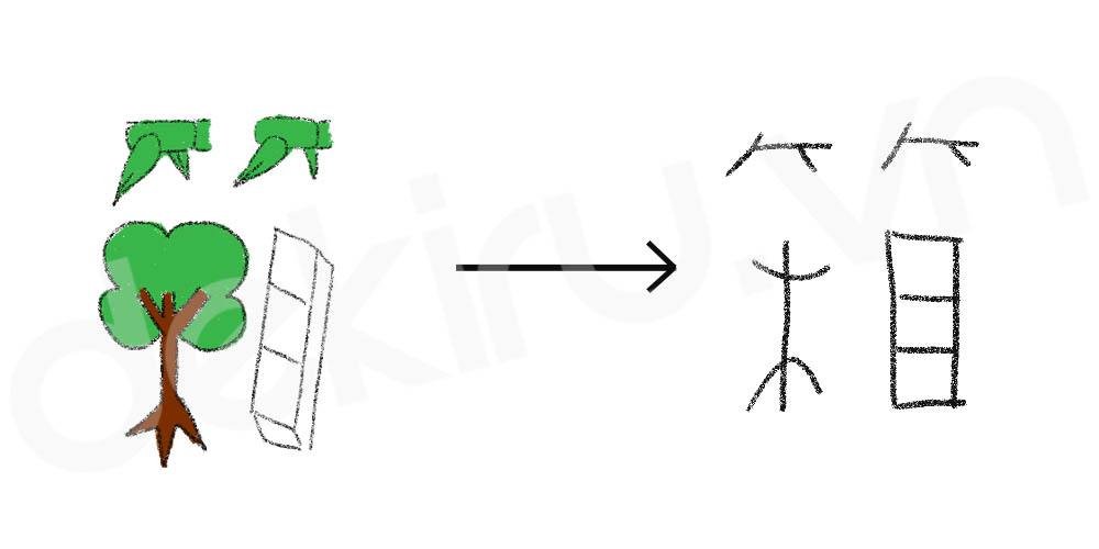 Giải Nghĩa kanji 箱