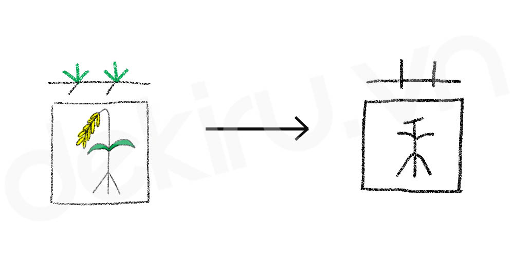 Giải Nghĩa kanji 菌