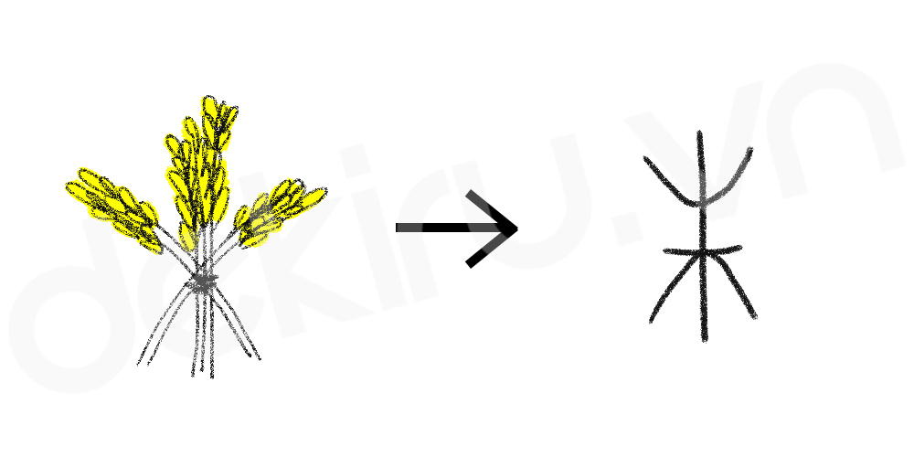 Giải Nghĩa kanji 米