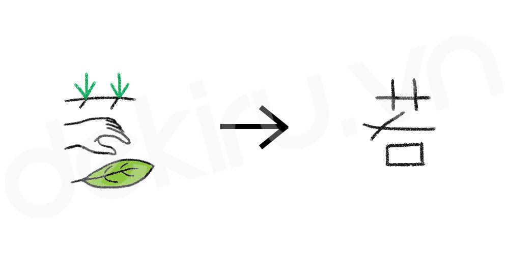 Giải Nghĩa kanji 若