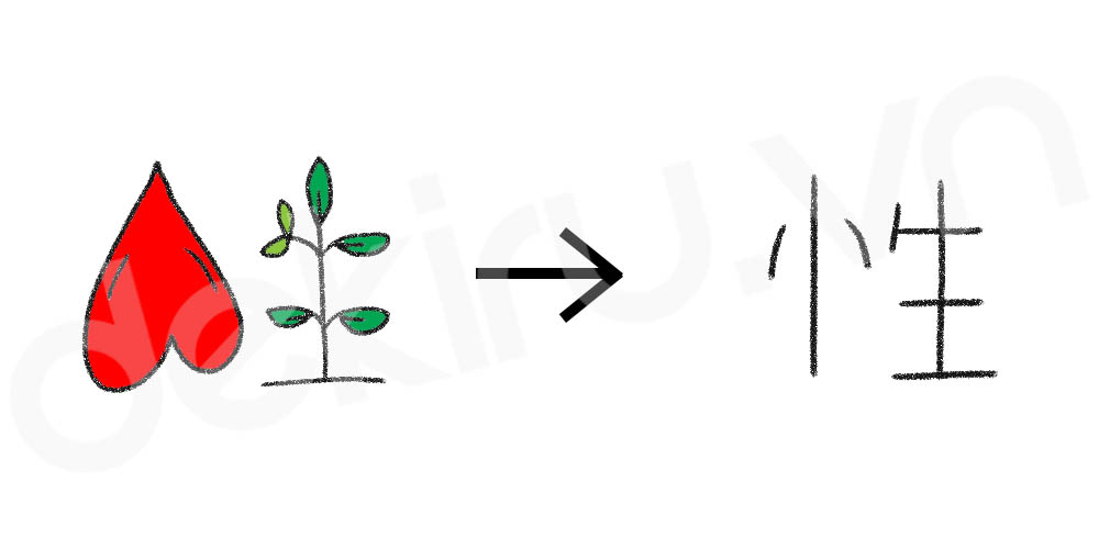 Giải Nghĩa kanji 性