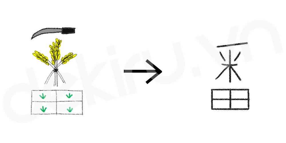 Giải Nghĩa kanji 番